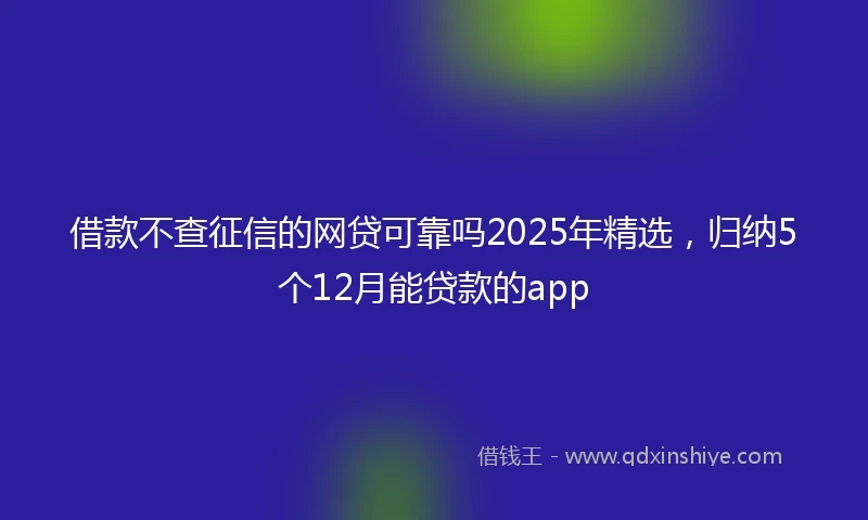 借款不查征信的网贷可靠吗2025年精选，归纳5个12月能贷款的app