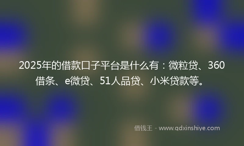 2025年的借款口子平台是什么有：微粒贷、360借条、e微贷、51人品贷、小米贷款等。