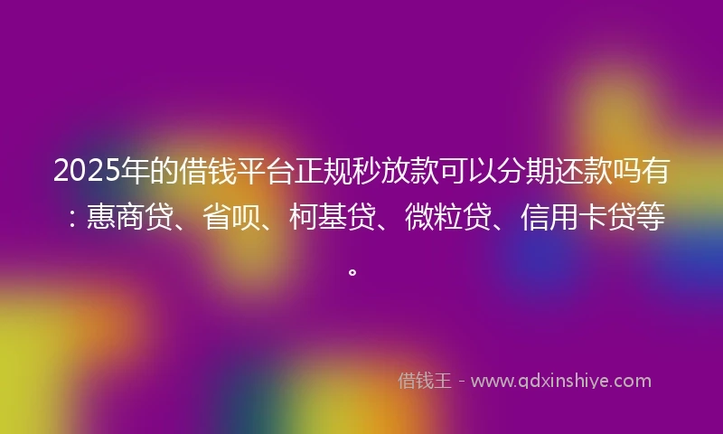 2025年的借钱平台正规秒放款可以分期还款吗有：惠商贷、省呗、柯基贷、微粒贷、信用卡贷等。