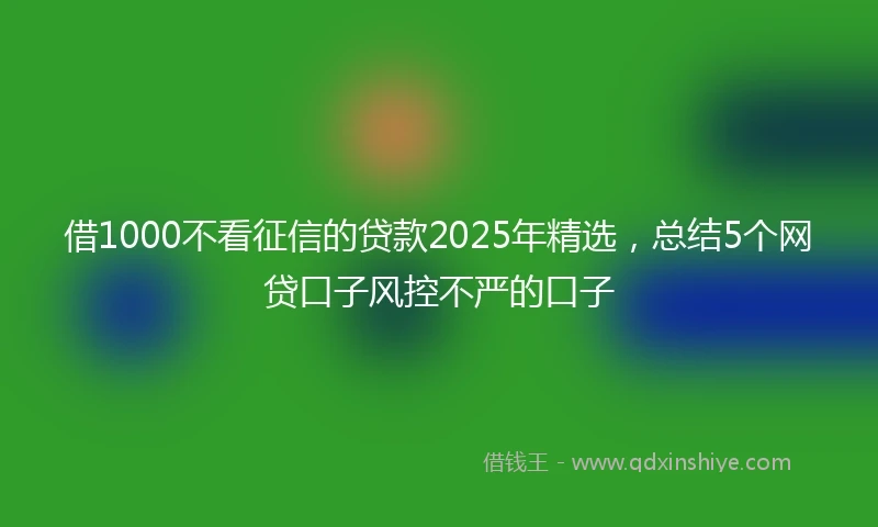 借1000不看征信的贷款2025年精选，总结5个网贷口子风控不严的口子