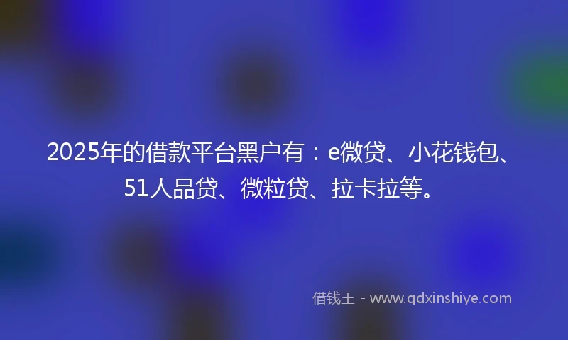 2025年的借款平台黑户有：e微贷、小花钱包、51人品贷、微粒贷、拉卡拉等。