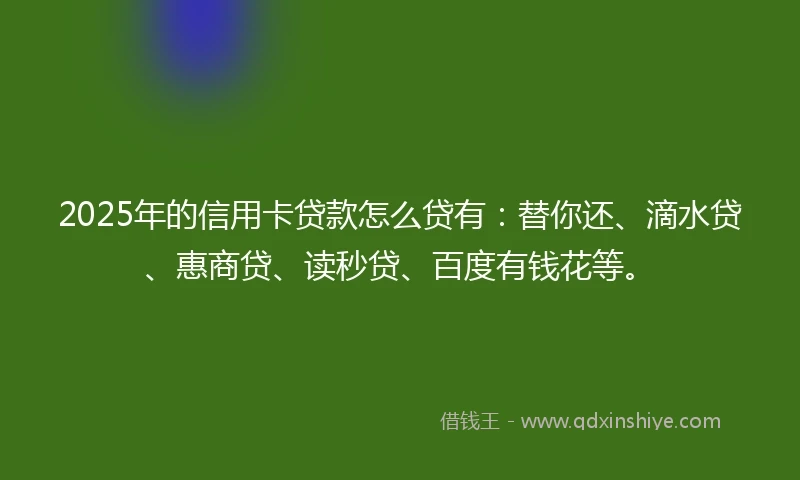 2025年的信用卡贷款怎么贷有：替你还、滴水贷、惠商贷、读秒贷、百度有钱花等。