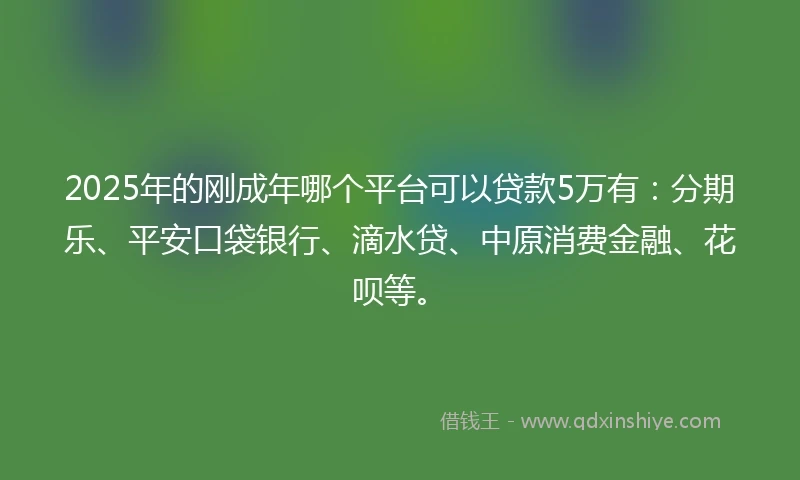 2025年的刚成年哪个平台可以贷款5万有：分期乐、平安口袋银行、滴水贷、中原消费金融、花呗等。