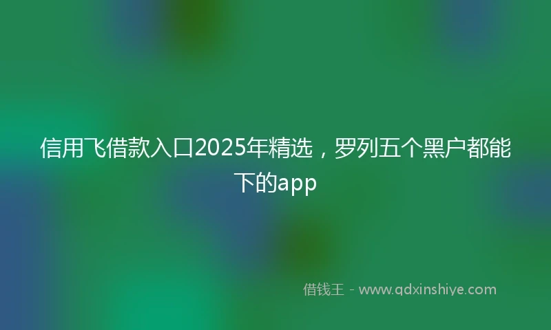 信用飞借款入口2025年精选，罗列五个黑户都能下的app
