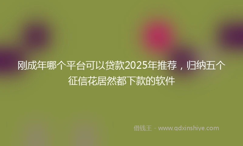 刚成年哪个平台可以贷款2025年推荐，归纳五个征信花居然都下款的软件