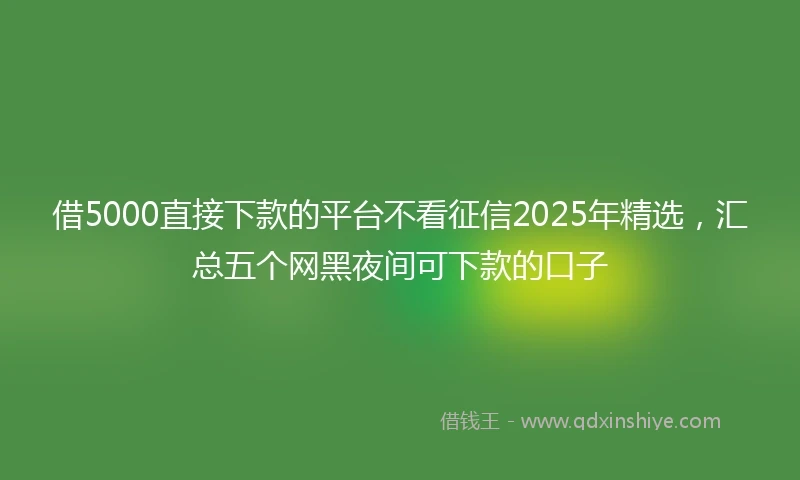 借5000直接下款的平台不看征信2025年精选，汇总五个网黑夜间可下款的口子