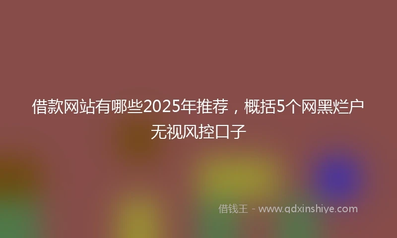 借款网站有哪些2025年推荐，概括5个网黑烂户无视风控口子