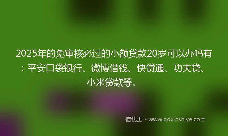 2025年的免审核必过的小额贷款20岁可以办吗有：平安口袋银行、微博借钱、快贷通、功夫贷、小米贷款等。