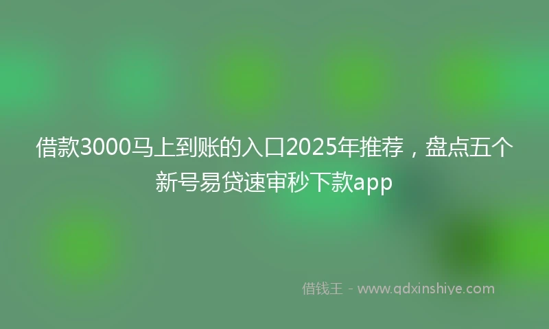 借款3000马上到账的入口2025年推荐，盘点五个新号易贷速审秒下款app