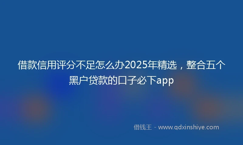 借款信用评分不足怎么办2025年精选，整合五个黑户贷款的口子必下app