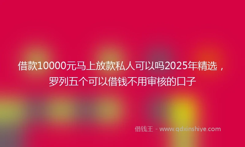 借款10000元马上放款私人可以吗2025年精选，罗列五个可以借钱不用审核的口子