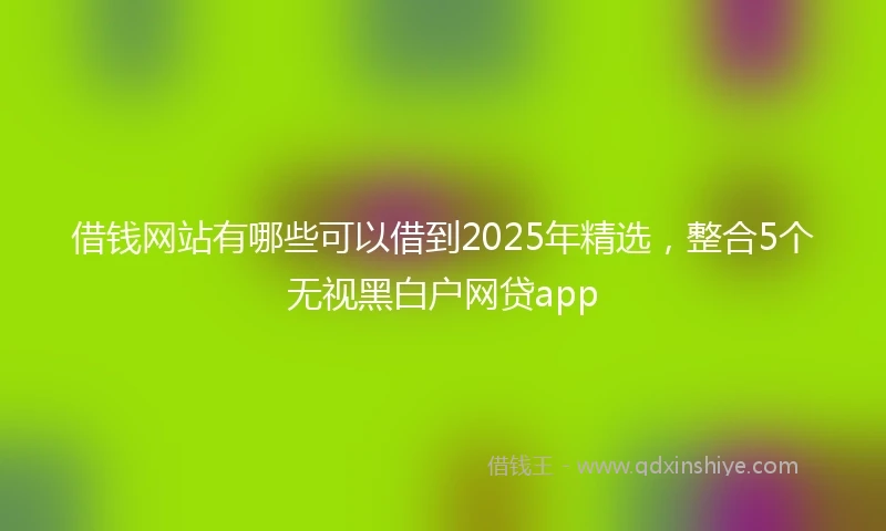 借钱网站有哪些可以借到2025年精选，整合5个无视黑白户网贷app
