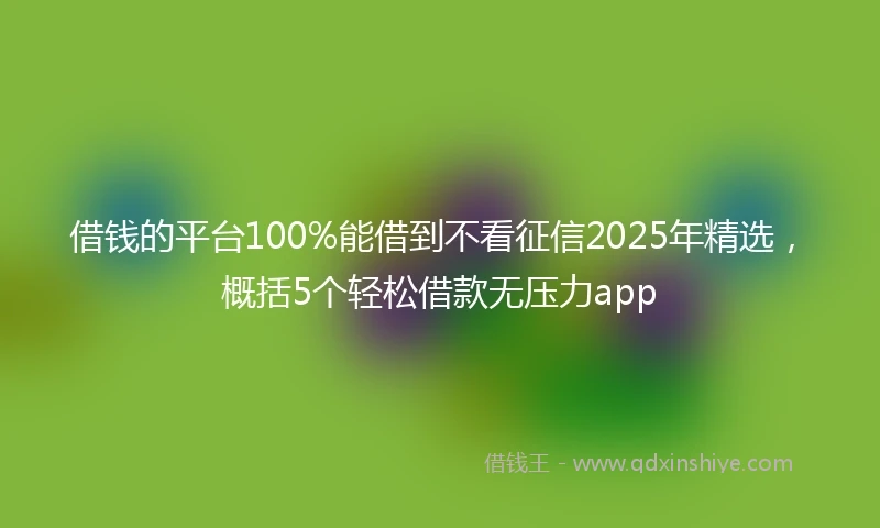 借钱的平台100%能借到不看征信2025年精选，概括5个轻松借款无压力app