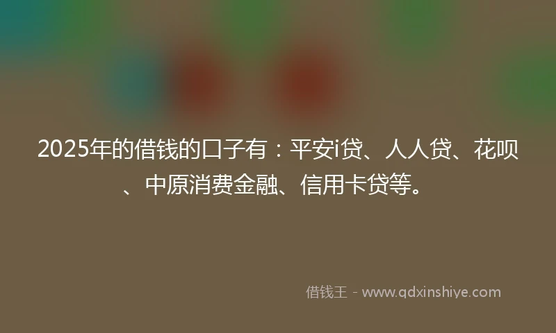 2025年的借钱的口子有：平安i贷、人人贷、花呗、中原消费金融、信用卡贷等。