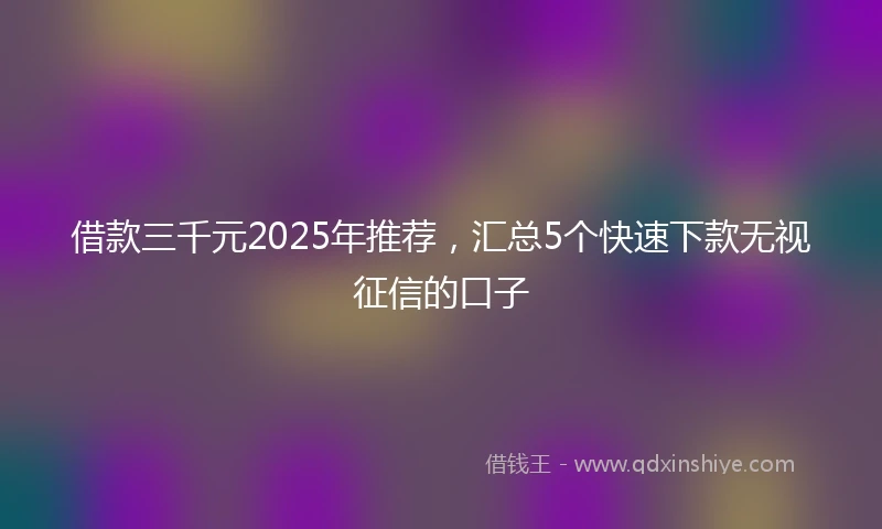 借款三千元2025年推荐，汇总5个快速下款无视征信的口子