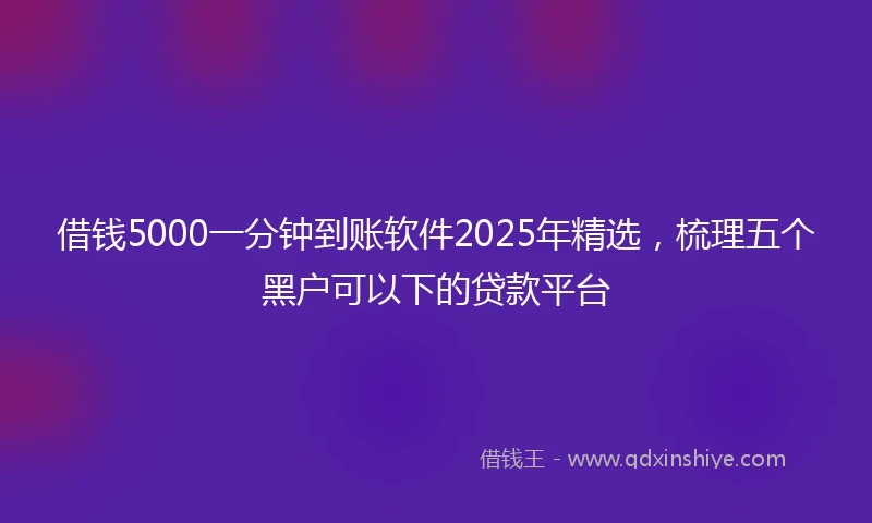 借钱5000一分钟到账软件2025年精选，梳理五个黑户可以下的贷款平台