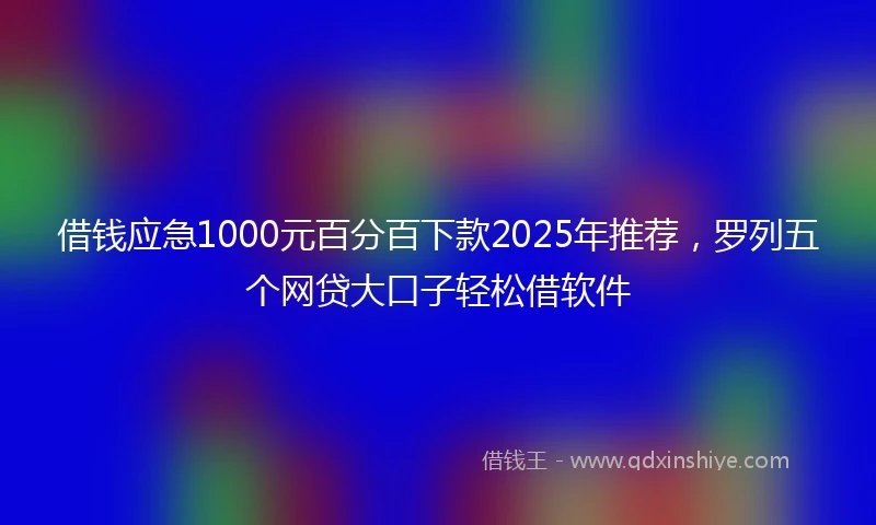 借钱应急1000元百分百下款2025年推荐，罗列五个网贷大口子轻松借软件