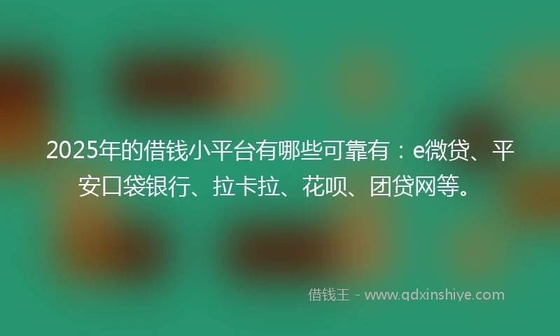 2025年的借钱小平台有哪些可靠有：e微贷、平安口袋银行、拉卡拉、花呗、团贷网等。