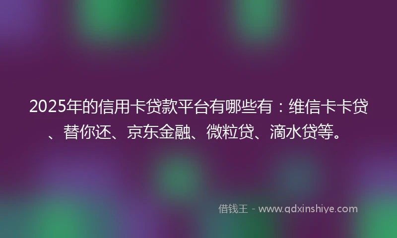 2025年的信用卡贷款平台有哪些有：维信卡卡贷、替你还、京东金融、微粒贷、滴水贷等。