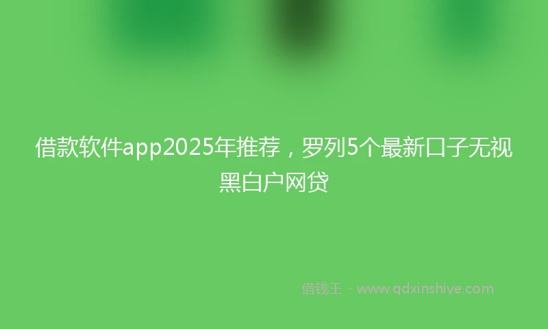 借款软件app2025年推荐，罗列5个最新口子无视黑白户网贷