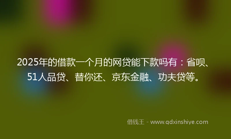 2025年的借款一个月的网贷能下款吗有：省呗、51人品贷、替你还、京东金融、功夫贷等。