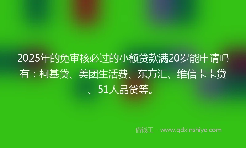 2025年的免审核必过的小额贷款满20岁能申请吗有：柯基贷、美团生活费、东方汇、维信卡卡贷、51人品贷等。