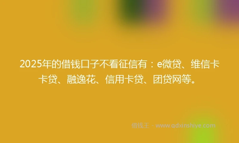 2025年的借钱口子不看征信有：e微贷、维信卡卡贷、融逸花、信用卡贷、团贷网等。