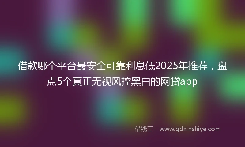 借款哪个平台最安全可靠利息低2025年推荐，盘点5个真正无视风控黑白的网贷app