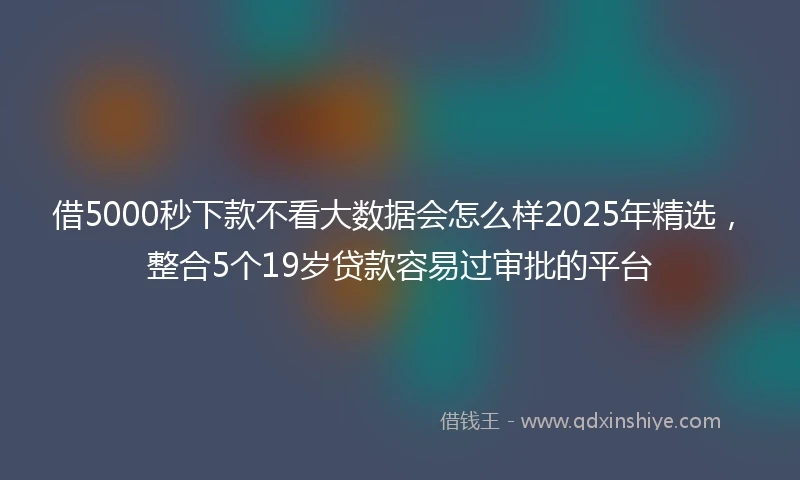 借5000秒下款不看大数据会怎么样2025年精选，整合5个19岁贷款容易过审批的平台