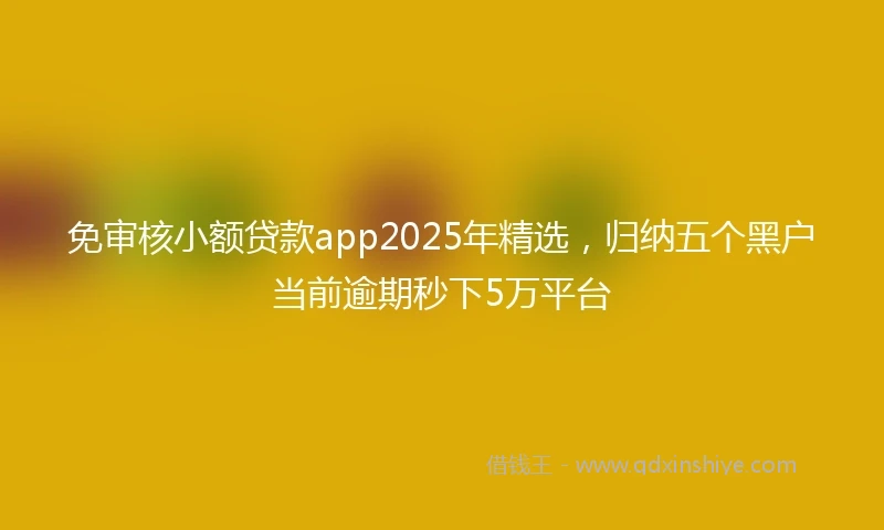 免审核小额贷款app2025年精选，归纳五个黑户当前逾期秒下5万平台