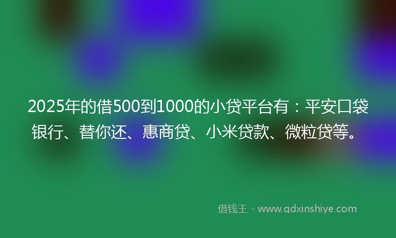 2025年的借500到1000的小贷平台有：平安口袋银行、替你还、惠商贷、小米贷款、微粒贷等。