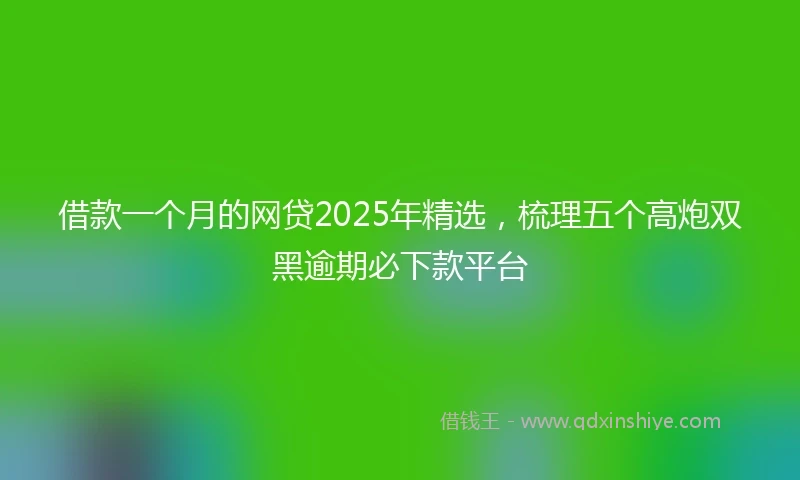 借款一个月的网贷2025年精选，梳理五个高炮双黑逾期必下款平台