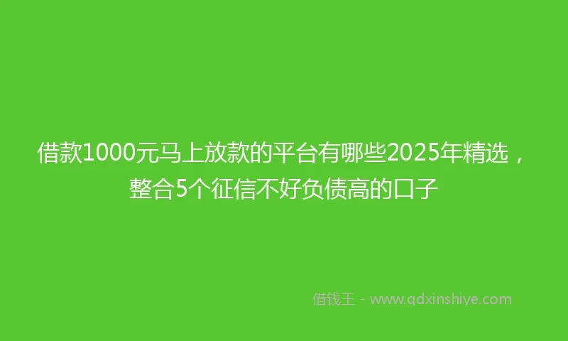 借款1000元马上放款的平台有哪些2025年精选，整合5个征信不好负债高的口子