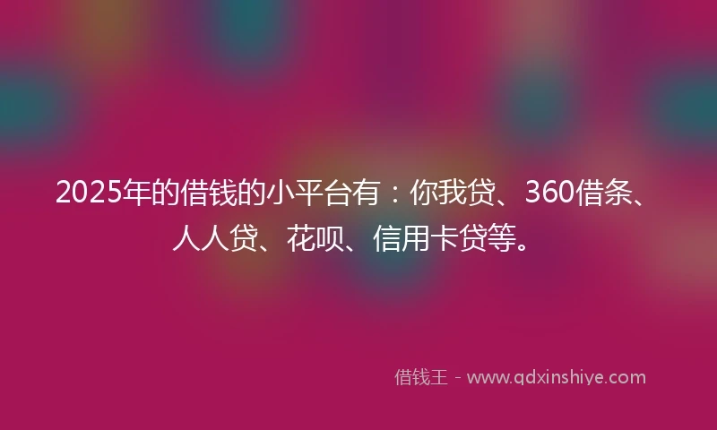 2025年的借钱的小平台有：你我贷、360借条、人人贷、花呗、信用卡贷等。