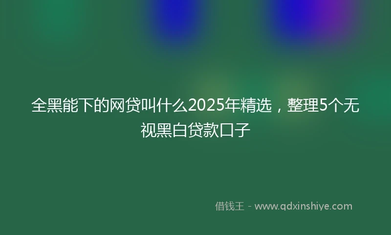 全黑能下的网贷叫什么2025年精选，整理5个无视黑白贷款口子