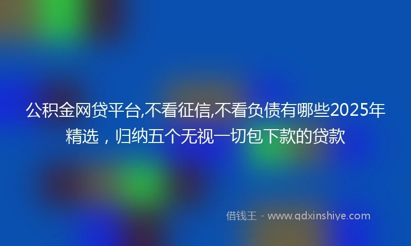 公积金网贷平台,不看征信,不看负债有哪些2025年精选，归纳五个无视一切包下款的贷款