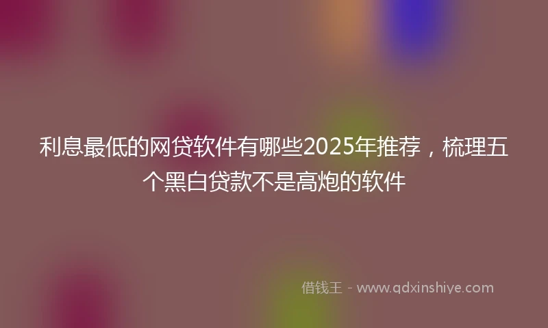 利息最低的网贷软件有哪些2025年推荐，梳理五个黑白贷款不是高炮的软件