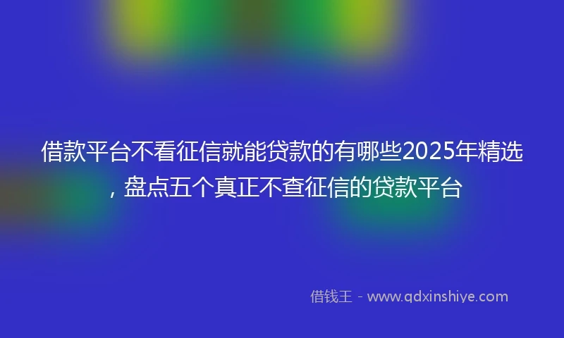 借款平台不看征信就能贷款的有哪些2025年精选，盘点五个真正不查征信的贷款平台