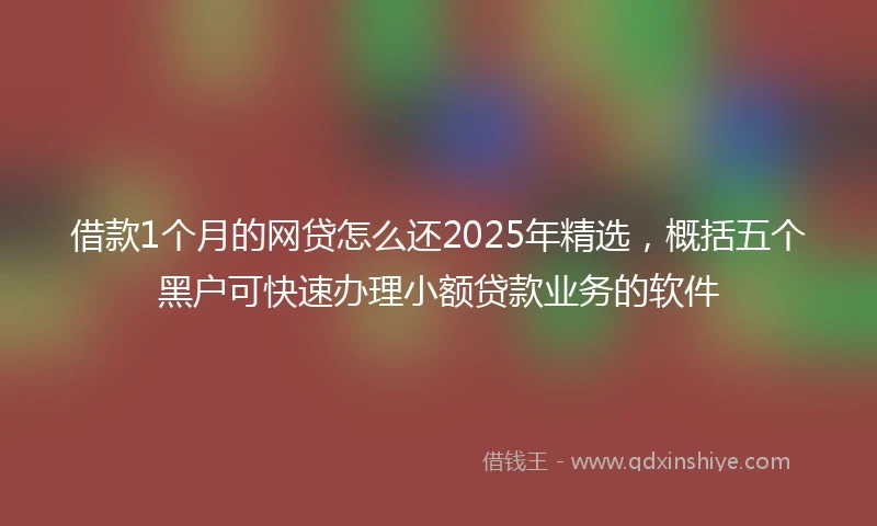借款1个月的网贷怎么还2025年精选，概括五个黑户可快速办理小额贷款业务的软件