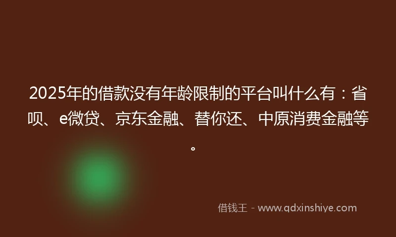 2025年的借款没有年龄限制的平台叫什么有：省呗、e微贷、京东金融、替你还、中原消费金融等。