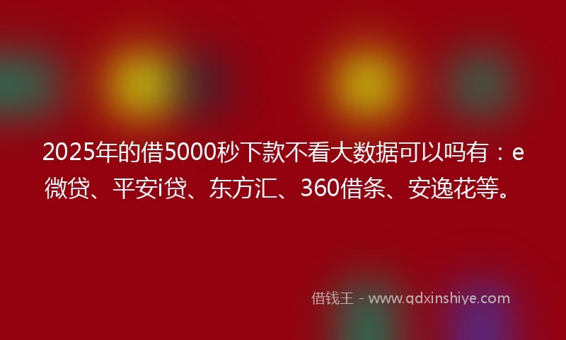 2025年的借5000秒下款不看大数据可以吗有：e微贷、平安i贷、东方汇、360借条、安逸花等。