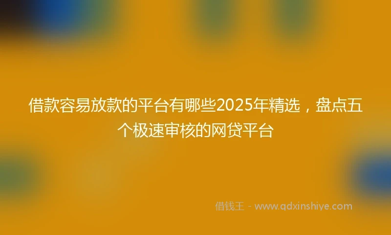 借款容易放款的平台有哪些2025年精选，盘点五个极速审核的网贷平台