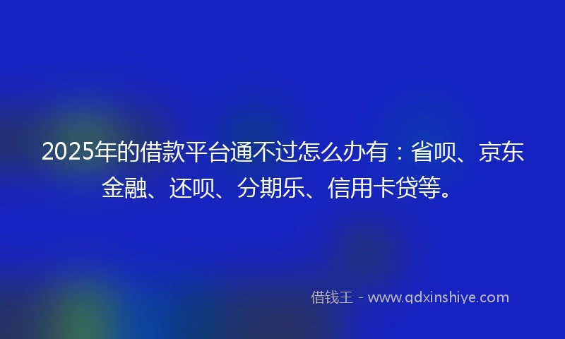 2025年的借款平台通不过怎么办有：省呗、京东金融、还呗、分期乐、信用卡贷等。