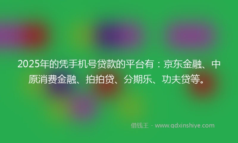 2025年的凭手机号贷款的平台有：京东金融、中原消费金融、拍拍贷、分期乐、功夫贷等。