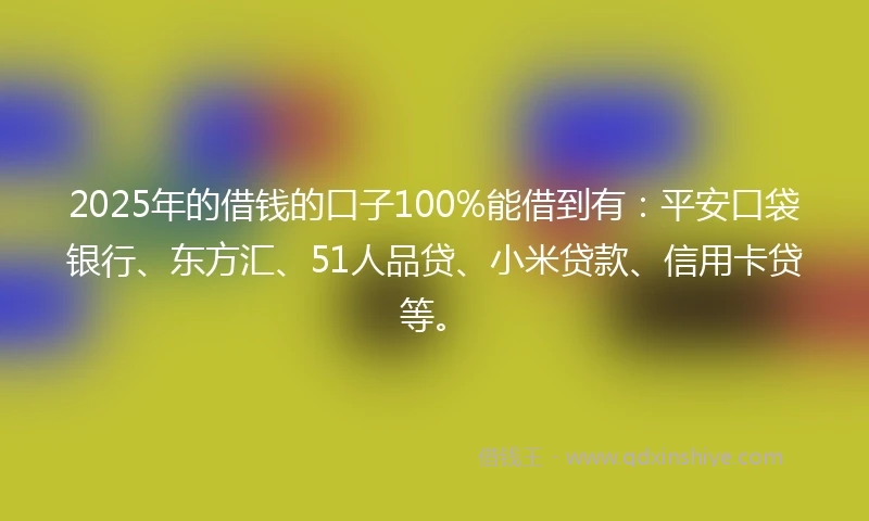 2025年的借钱的口子100%能借到有：平安口袋银行、东方汇、51人品贷、小米贷款、信用卡贷等。