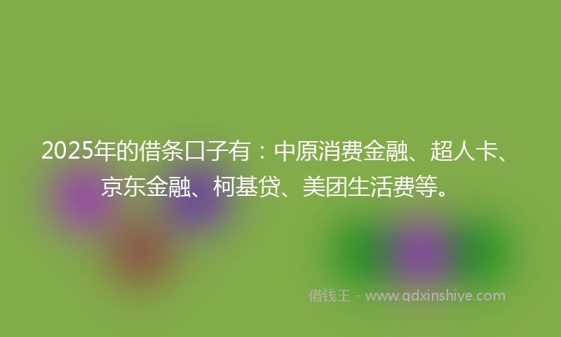 2025年的借条口子有：中原消费金融、超人卡、京东金融、柯基贷、美团生活费等。