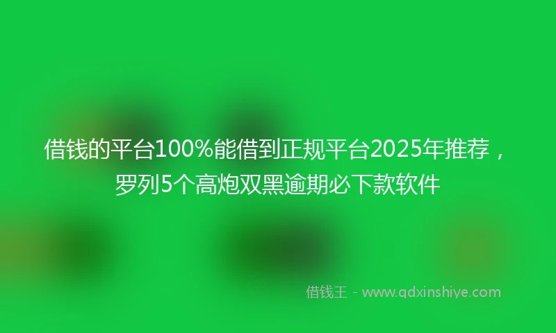 借钱的平台100%能借到正规平台2025年推荐，罗列5个高炮双黑逾期必下款软件