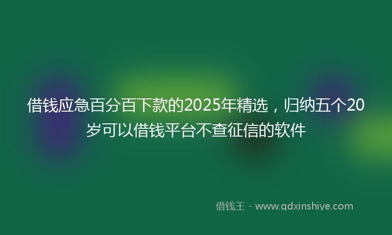 借钱应急百分百下款的2025年精选，归纳五个20岁可以借钱平台不查征信的软件