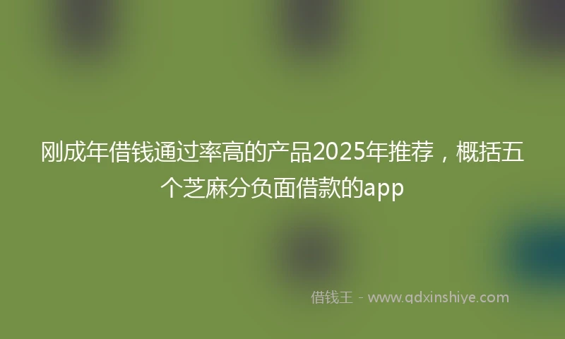 刚成年借钱通过率高的产品2025年推荐，概括五个芝麻分负面借款的app