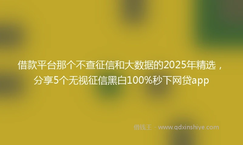 借款平台那个不查征信和大数据的2025年精选，分享5个无视征信黑白100%秒下网贷app